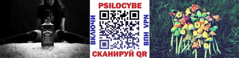 Купить закладки  Олёкминск  Псилоцибиновые грибы мицелий 